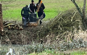 Les Archers Du Moulon partout en France : Concours 3D et Nature - Présents dans 4 départements : Le 28, 45, 91 et 80