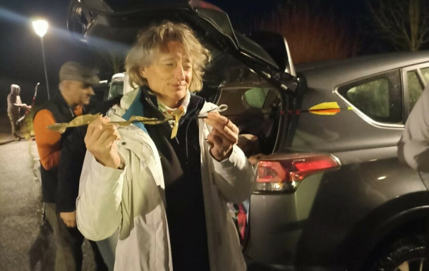 2025 11 29 - Concours Nature Bonneval (28000) - 7 podiums